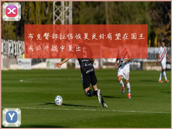 布克臀部拉伤恢复良好有望在国王或公牛战中复出