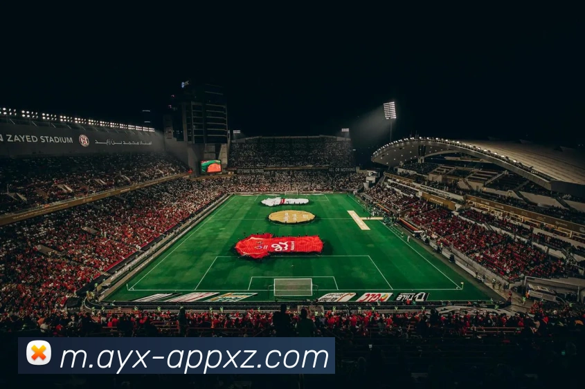 爱游戏APP 封面图